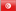 Tunisia flag