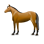 Galopp icon